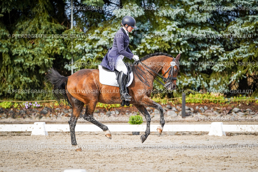 DSC00349 | Pferdegrafie