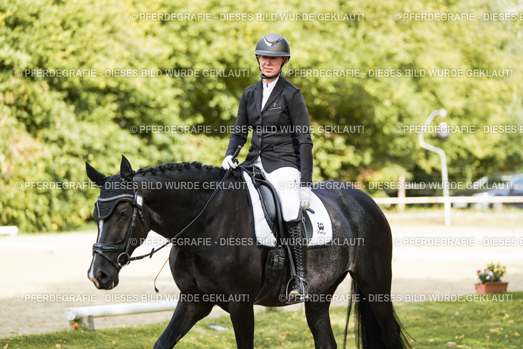 DSC02506 | Pferdegrafie