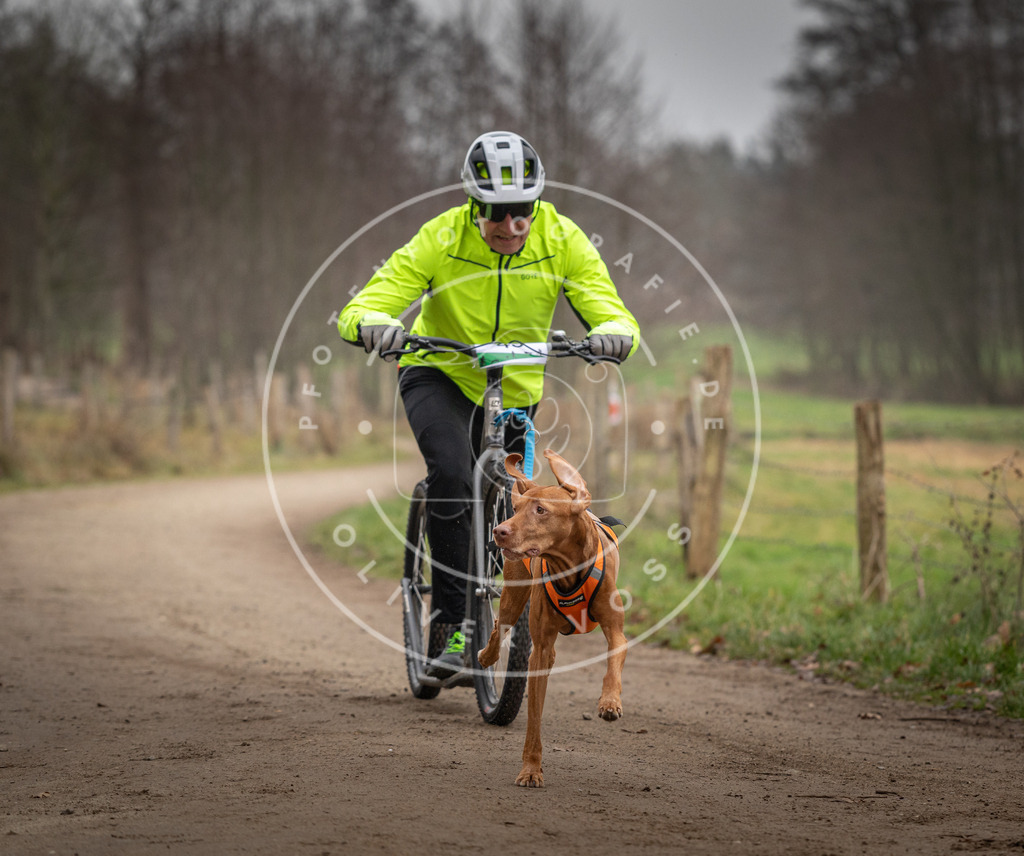 Pfotenfotografie_DV3A2658 | Hundefotografie, Tierfotograf, Pfotenfotografie, Fotoshooting Hund, Hunde Portrait, Hundesport, Hundeportraits, Heideshooting, Hunde, Sportfotograf, Hundefotograf, Turnierhundsport, THS,  - Realisiert mit Pictrs.com