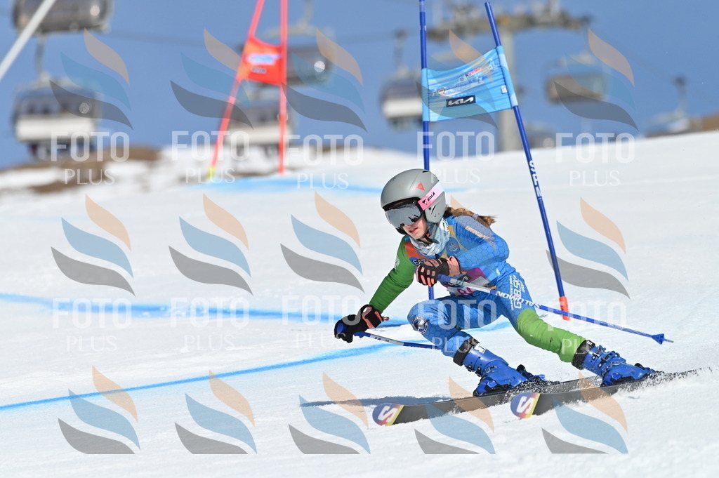 BGV_9070 | holidayphoto