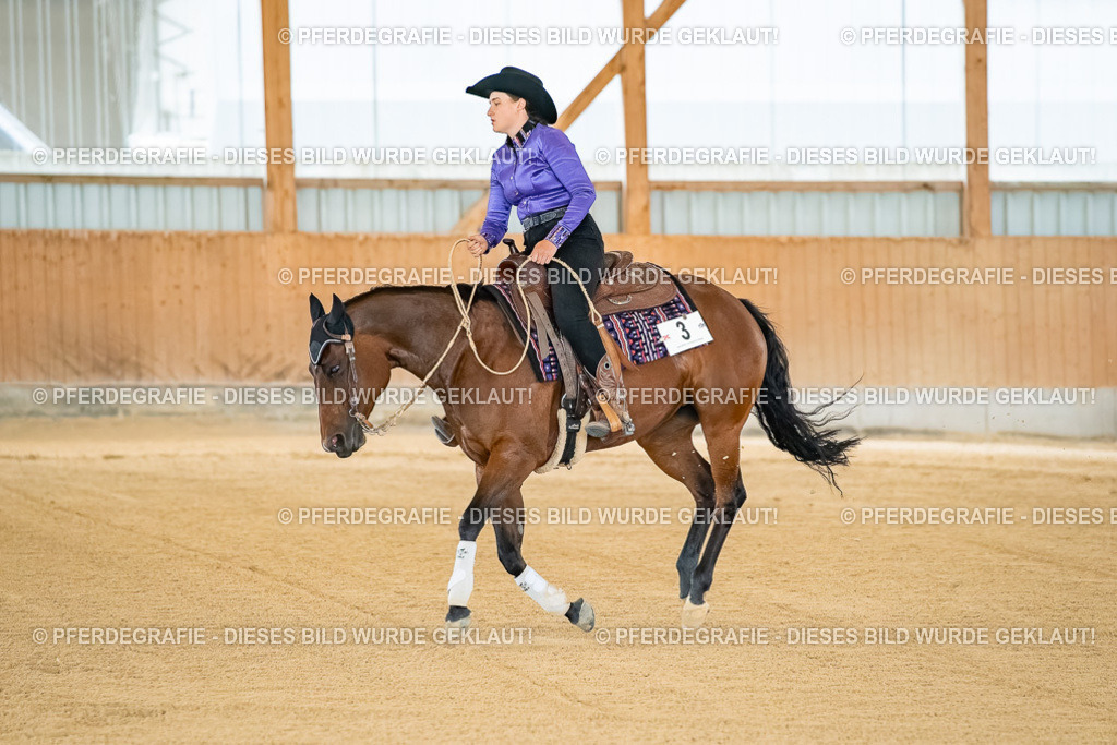 DSC07709 | Pferdegrafie