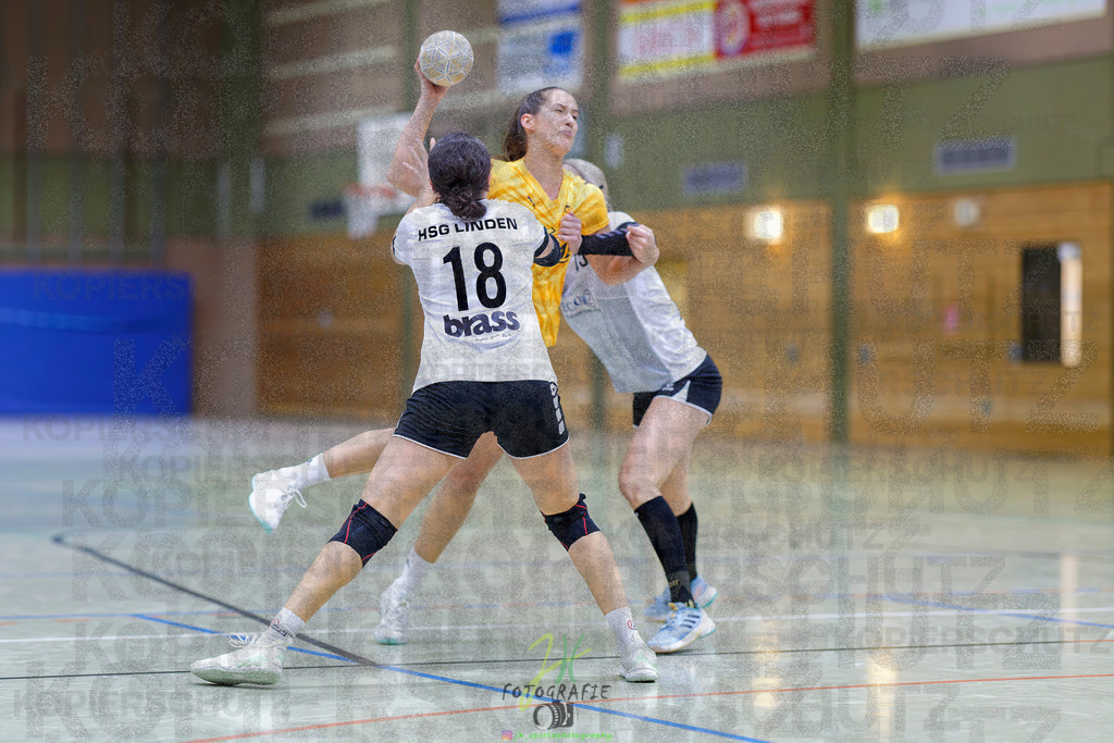 Frauen Oberliga Mitte (HHV); HSG Eibelshausen/Ewersbach - HSG Linden | Frauen Oberliga Mitte (HHV); HSG Eibelshausen/Ewersbach - HSG Linden am 15.11.2025 in Eibelshausen (Holderberghalle)Photo © 2025 - Jörg Heinrich - Realisiert mit Pictrs.com