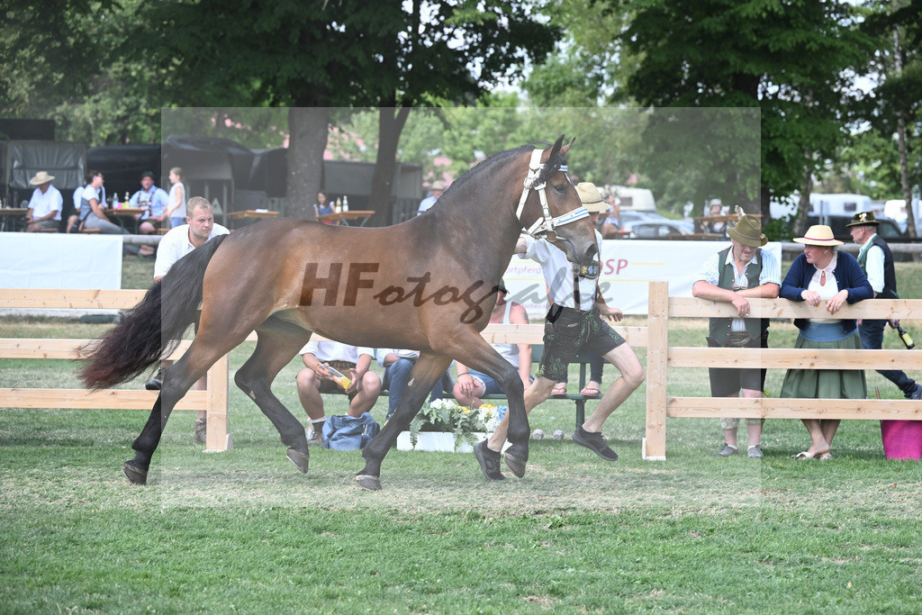 Kat-Nr. 64 Penelope_Birkholz_20231052 | hf-fotografie - Realisiert mit Pictrs.com