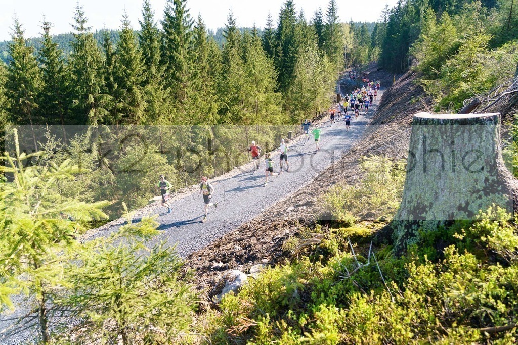 Rennsteiglauf 2023 | Rennsteiglauf 2023 am 12. Mai 2023 - Marathon-Strecke Neuhaus/Rwg. - Schmiedefeld