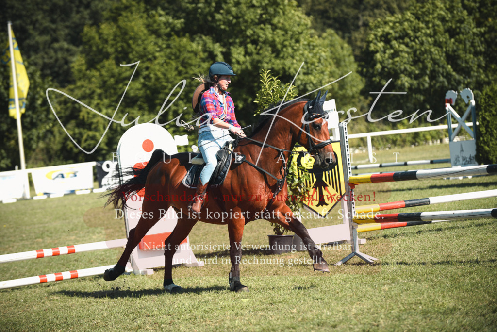 DSC_7740 | Pferde- und Turnierfotografie in Westsachsen. Pferdeportraits, Auftragszeichnungen und intuitive Kunst.