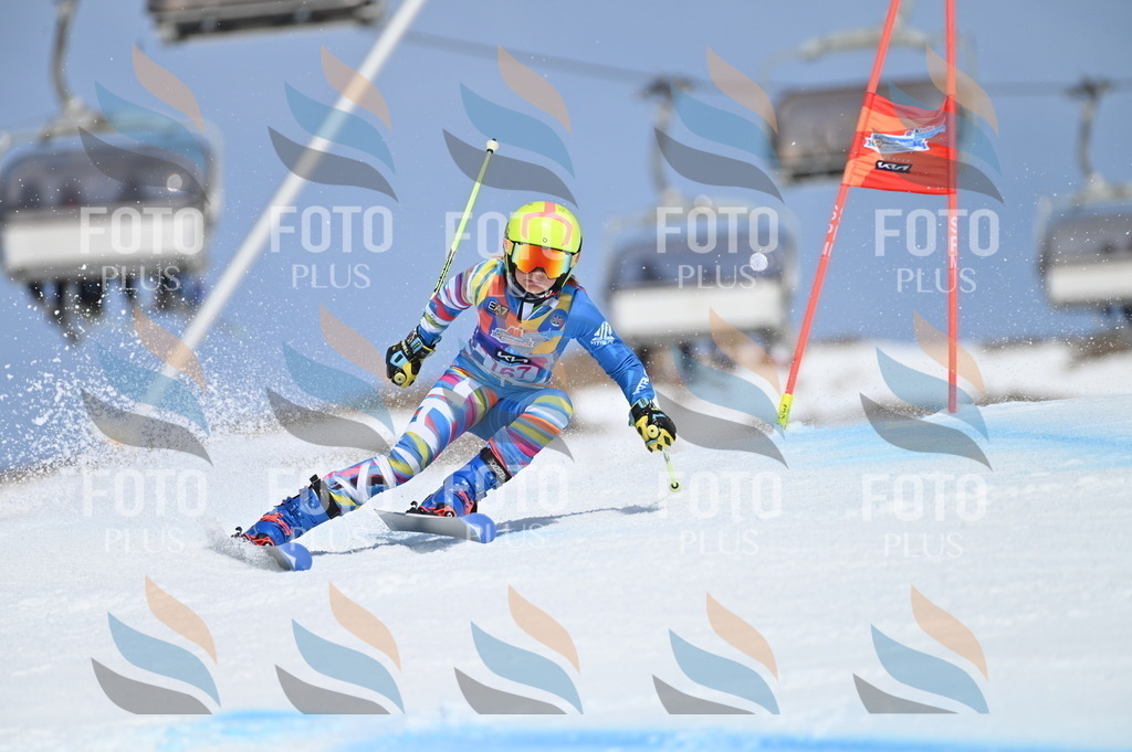 BGV_0371 | holidayphoto