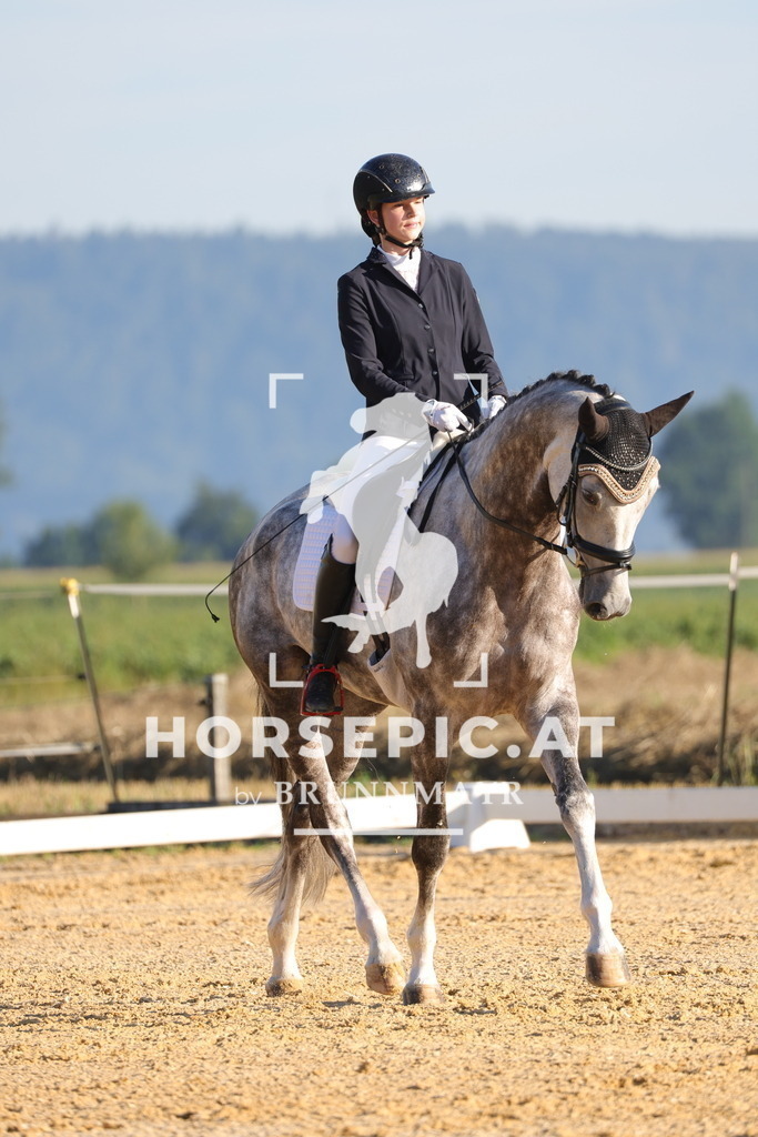 0P6A6703 | Willkommen bei Brunnmayr - Design & Fotografie – Ihrem Spezialisten für Reitturniere und Pferdeveranstaltungen in Oberösterreich, Salzburg und Bayern! Seit über 17 Jahren sind wir leidenschaftlich dabei.