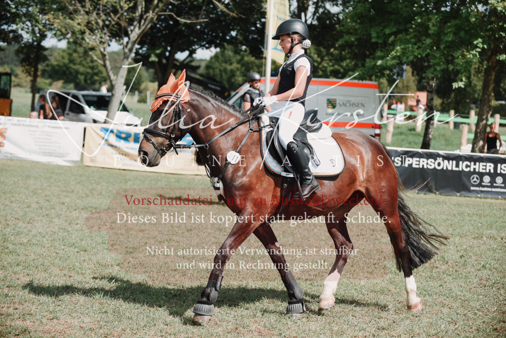 DSC_5675 | Pferde- und Turnierfotografie in Westsachsen. Pferdeportraits, Auftragszeichnungen und intuitive Kunst.