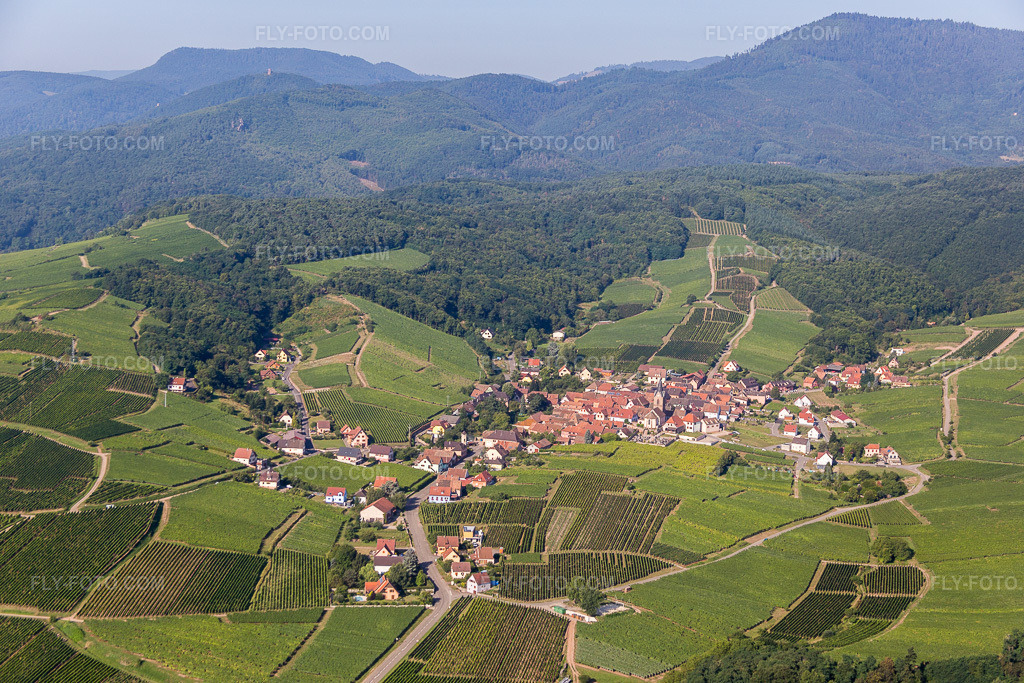Aerial view: Agricultural fields and arable land in Rodern in the state Haut-Rhin, France. – Photo: IMG_093315.jpg taken on 08/16/2016 by Werner Riehm/FLY-FOTO.com – Resolution of the original: 5472 x 3648 px