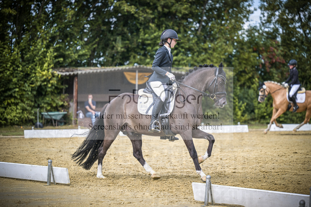 DOS_3989 | Entdecke hochwertige Reitturnierfotos von Foto Oger. Professionell, emotional und authentisch – jetzt Lieblingsmomente im Shop bestellen.Deutschlandweite Turnierfotografie. - Realisiert mit Pictrs.com