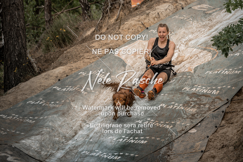nelerasche_sa1300-1345_487 | nelerasche