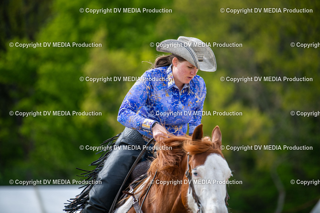 Heiligenwald Tag 2-2150 | dv-media-shop - Realisiert mit Pictrs.com