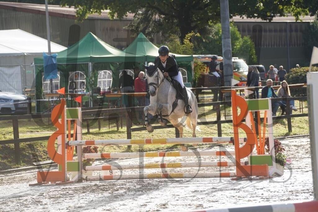 rveinoedsonntag (201) | d.tail Visions - Shop - Realisiert mit Pictrs.com