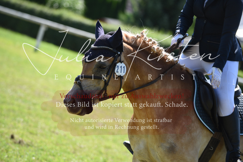 DSC_9518 | Pferde- und Turnierfotografie in Westsachsen. Pferdeportraits, Auftragszeichnungen und intuitive Kunst.