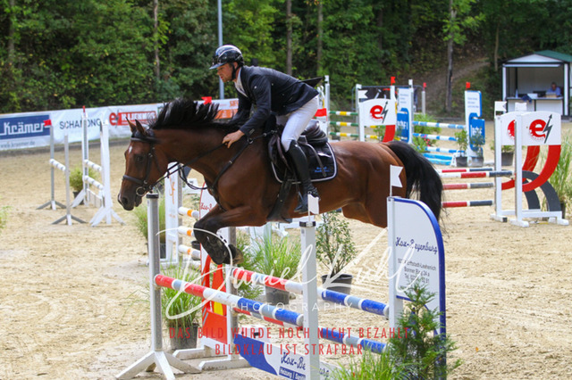 DKP40457 | Turniersportfotografie; Pferdefotografie; Dressurfotografie