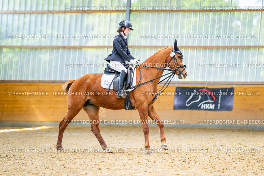 DSC09494 | Pferdegrafie