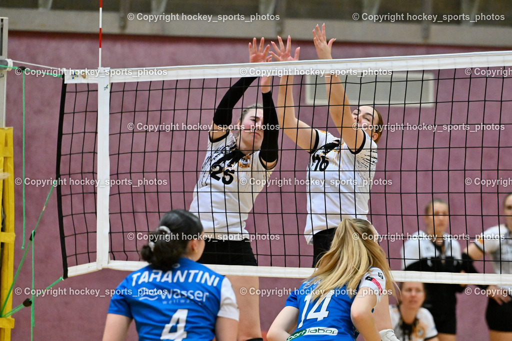 ASKÖ Volley Eagles Villach vs. TI- Schu Staudinger Volley 22.3.2024 | #25 Chiara SCHULER Villach ASKÖ Volley, #16 Tamy KÖFLER Villach ASKÖ Volley, #14 Katharina LAMM TI Volley, ASKÖ Volley Eagles Villach vs. TI- Schu Staudinger Volley 22.3.2024, ASKÖ Volley Eagles Villach vs. TI- Schu Staudinger Volley am 22.03.2024 in Villach (Ballspielhalle Lind), Austria, (Photo by Bernd Stefan)