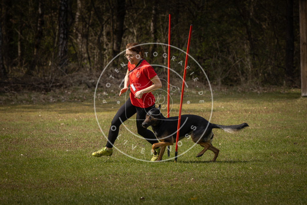 Pfotenfotografie_DV3A4919 | Hundefotografie, Tierfotograf, Pfotenfotografie, Fotoshooting Hund, Hunde Portrait, Hundesport, Hundeportraits, Heideshooting, Hunde, Sportfotograf, Hundefotograf, Turnierhundsport, THS,  - Realisiert mit Pictrs.com