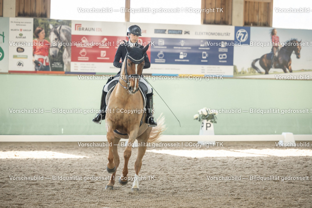 _D5A1374 | Emotionale Pferde- & People-Fotografie rund um Heidelberg, Leimen & Umgebung. Natürliche Fotos von Pferd, Mensch & Familie. Jetzt Termin sichern!