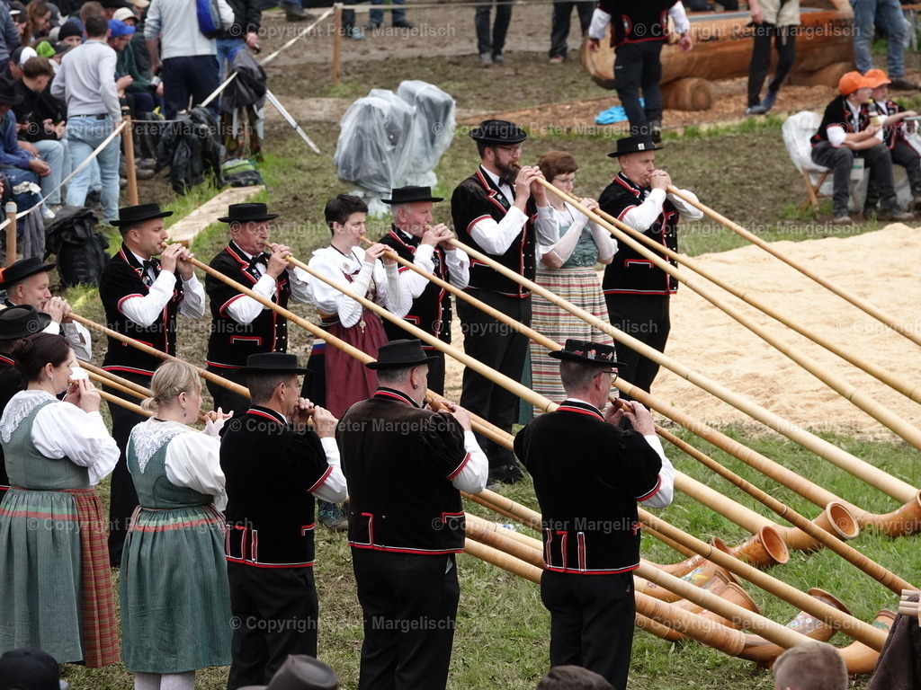 DSC07666 | Schwingen - Realized with Pictrs.com