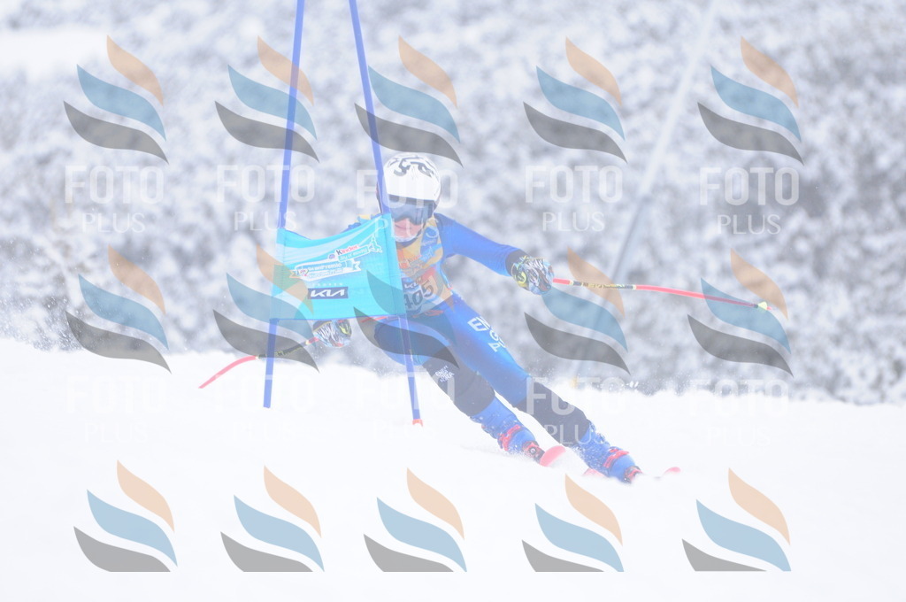 C4254 | holidayphoto