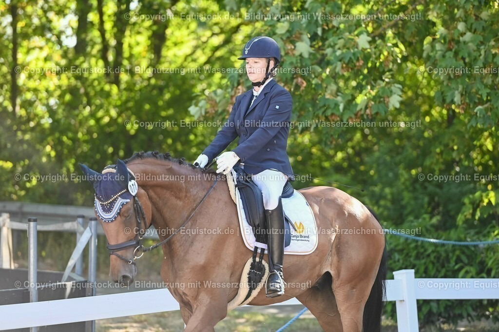 20230715_06_Dressurpferdeprfg. Kl.A_0204 | equistock
