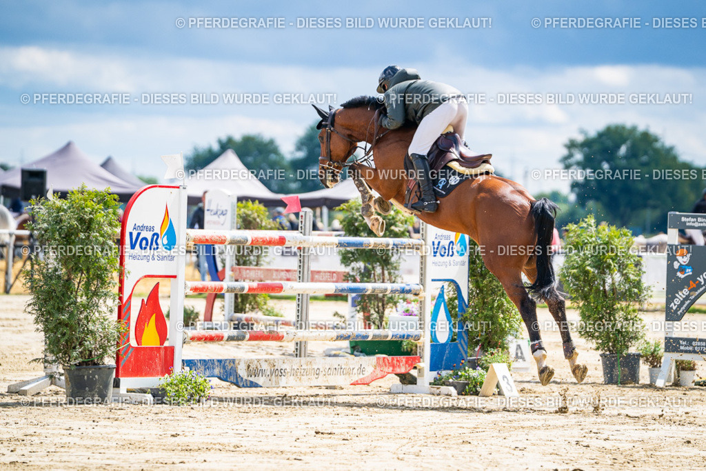 DSC05244 | Pferdegrafie