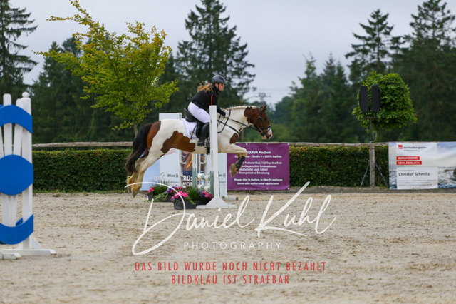 IMG_4836 | Turniersportfotografie; Pferdefotografie; Dressurfotografie