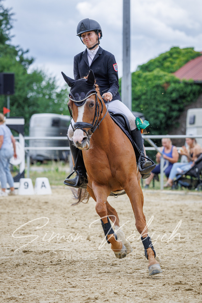 20260705-_3LI5743 | Tierfotografie Pferde, Hunde, Katzen, Haustiere.
Turnierfotografie Reitturniere, Reiten, Springreiten, Dressur in Hanau, dem Main-Kinzig-Kreis und dem Rhein-Main- Gebiet um Frankfurt