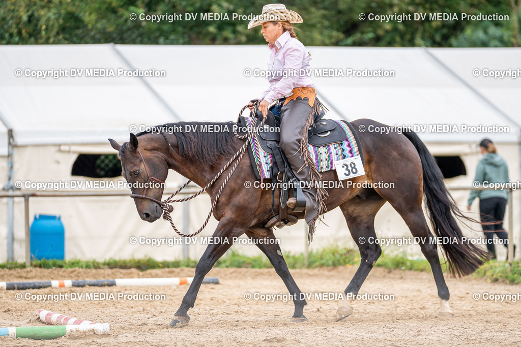 LM Heiligenwald Tag 3-911 | dv-media-shop - Realisiert mit Pictrs.com