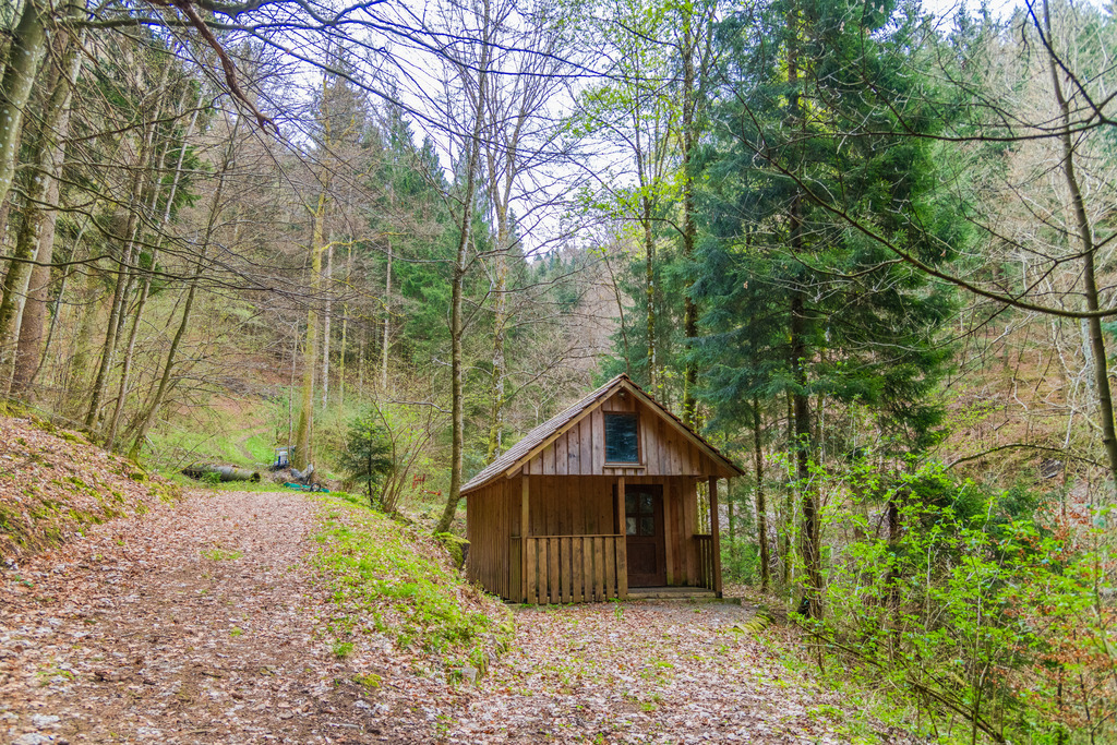 Hütte im Wald | Hütte im Wald - Realisiert mit Pictrs.com