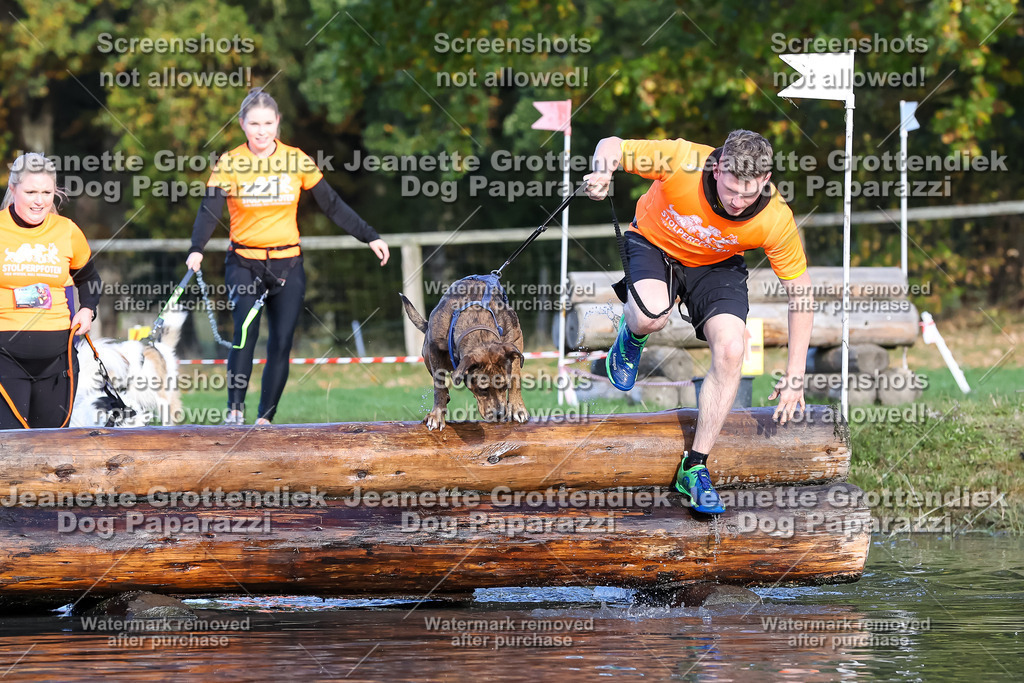 Dog Paparazzi - Strongdog 10-25-8560 | Dog Paparazzi Jeanette Grottendiek Fotografie & Videografie - Realisiert mit Pictrs.com