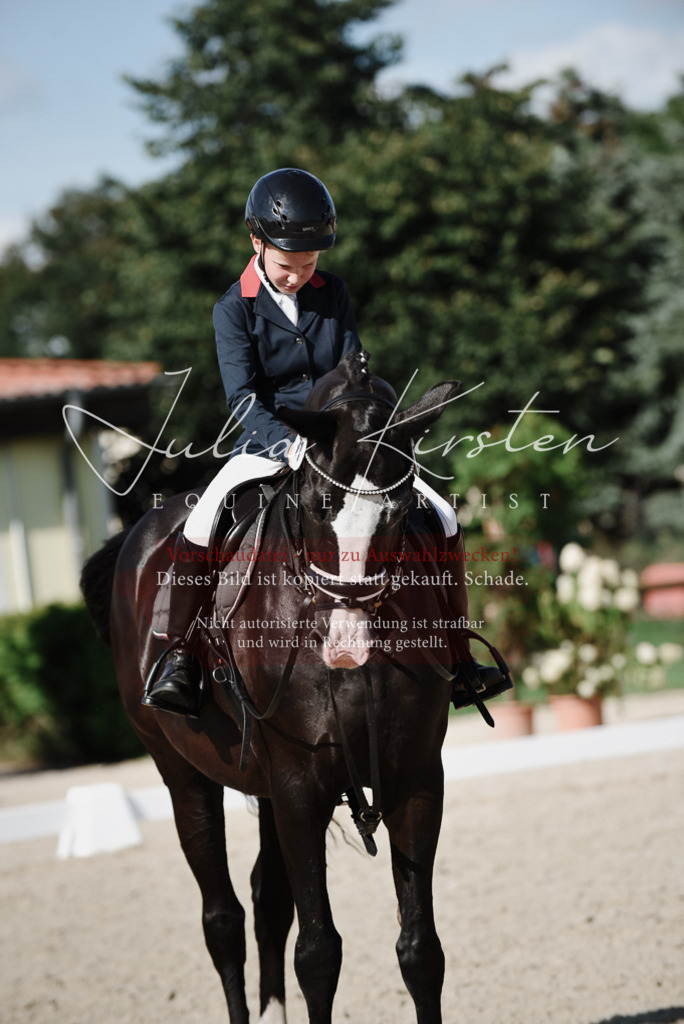 DSC_0207 | Pferde- und Turnierfotografie in Westsachsen. Pferdeportraits, Auftragszeichnungen und intuitive Kunst.