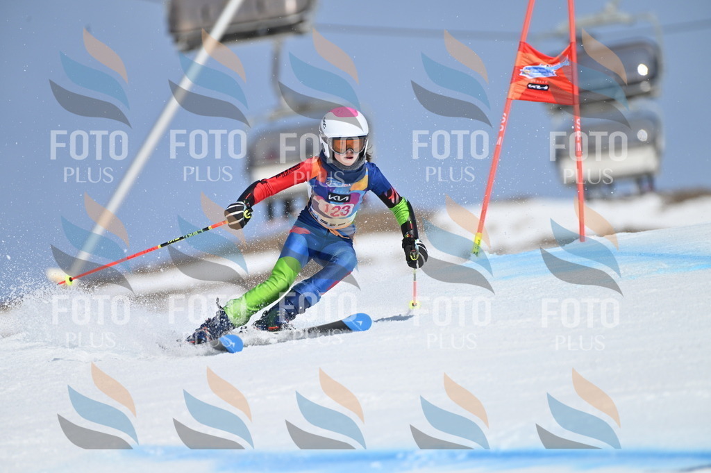 BGV_9855 | holidayphoto