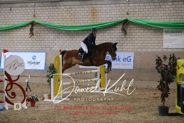 IMG_0697 | Turnierfotos kaufen im Webshop von Daniel Kuhl Photography – entdecke professionelle Reitsportfotos aus Turnieren & Events. Hochwertige Turnierbilder online bestellen & sichern. Jetzt Fotos von Reitsportturnieren kaufen!