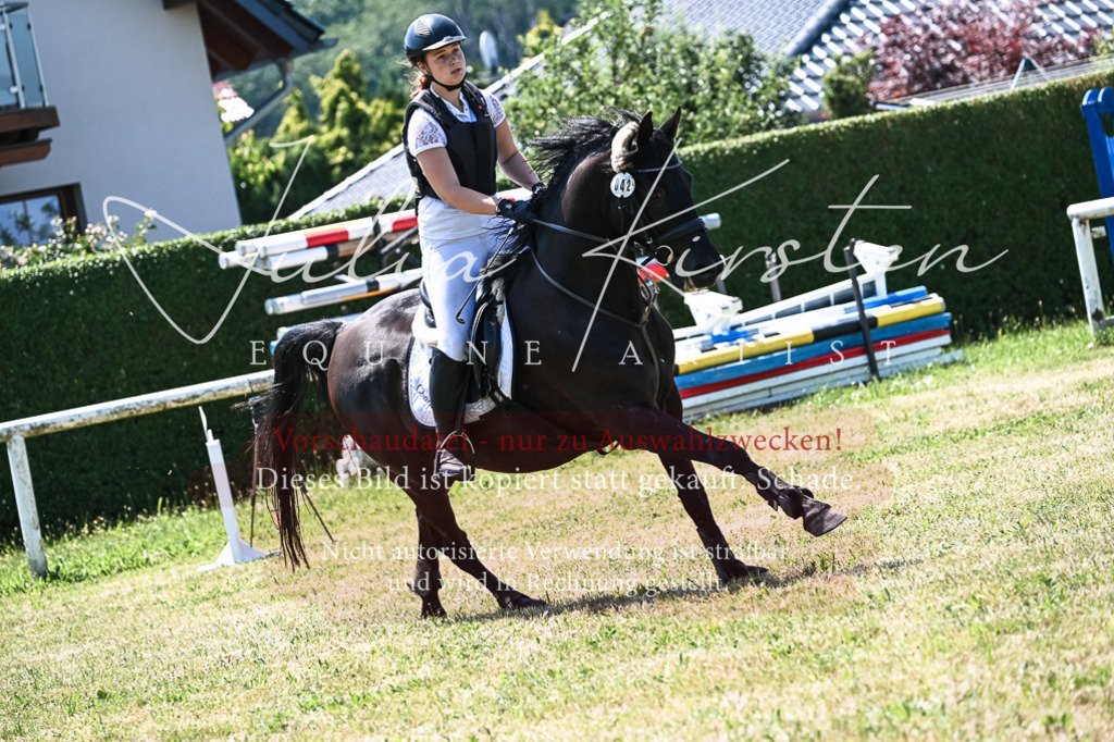 DSC_0418 | Pferde- und Turnierfotografie in Westsachsen. Pferdeportraits, Auftragszeichnungen und intuitive Kunst.