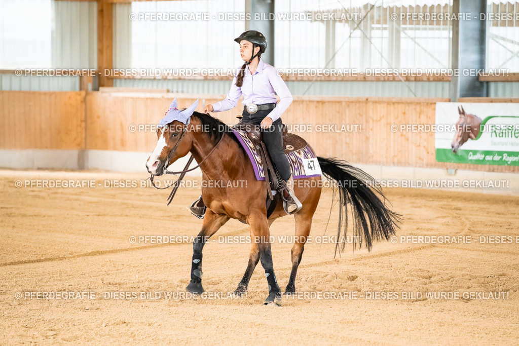 DSC01987 | Pferdegrafie