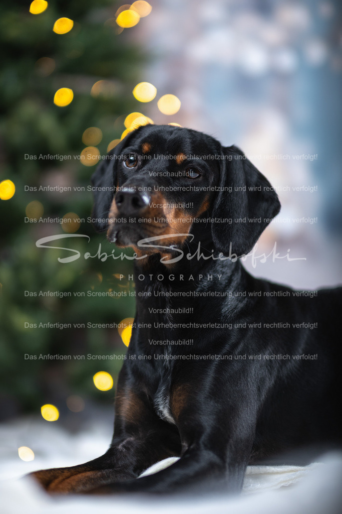 DSCF4383 | People- und Tierfotografie, Imageaufnahmen, Veranstaltungsfotografie und Wandbilder aus der Natur ★ Made in Germany ✔️ Druck + Downloads ✔️ Naturfotografie in Top Qualität ★ schneller Versand, weltweite Lieferung! - Realisiert mit Pictrs.com