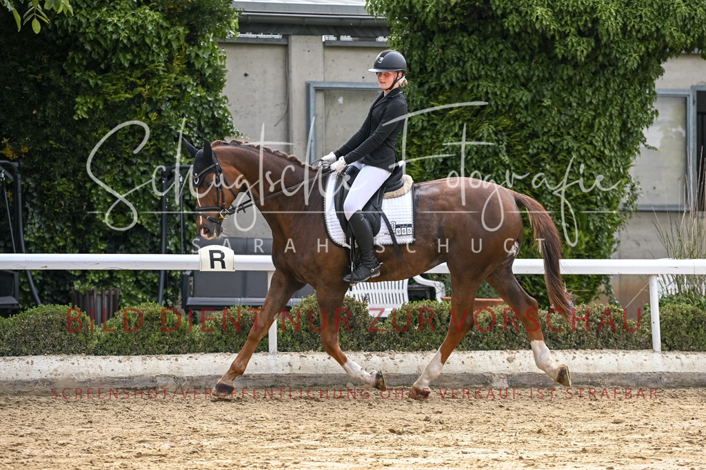 Schugtsche-Aluta25-55.Dressurreiterprf.L1Tr-214 | Schugtsche Fotografie - Realizzato con Pictrs.com