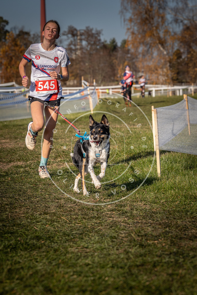 CaniXpix_0L8A7667 | Hundefotografie, Tierfotograf, Pfotenfotografie, Fotoshooting Hund, Hunde Portrait, Hundesport, Hundeportraits, Heideshooting, Hunde, Sportfotograf, Hundefotograf, Turnierhundsport, THS,  - Realisiert mit Pictrs.com