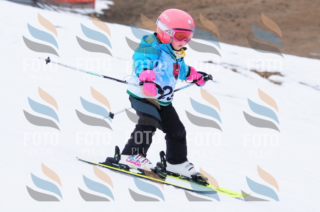 A3461 | holidayphoto