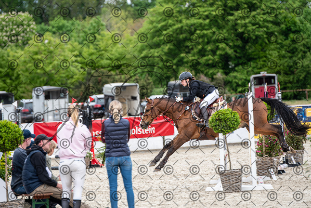 KPT_6392 | andre_photographic