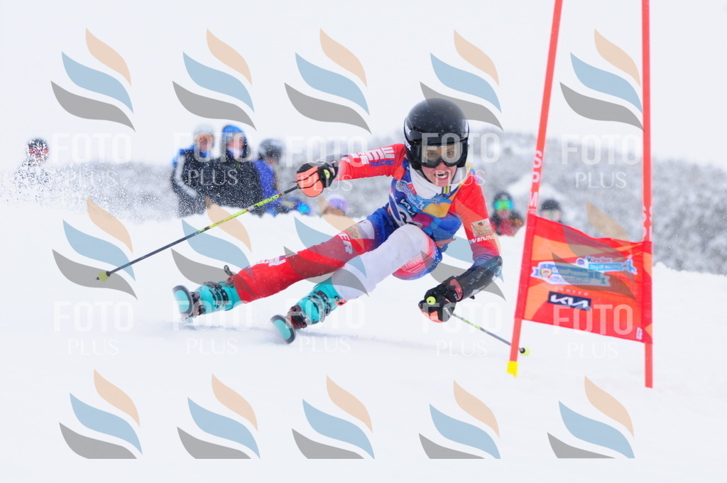 C4068 | holidayphoto