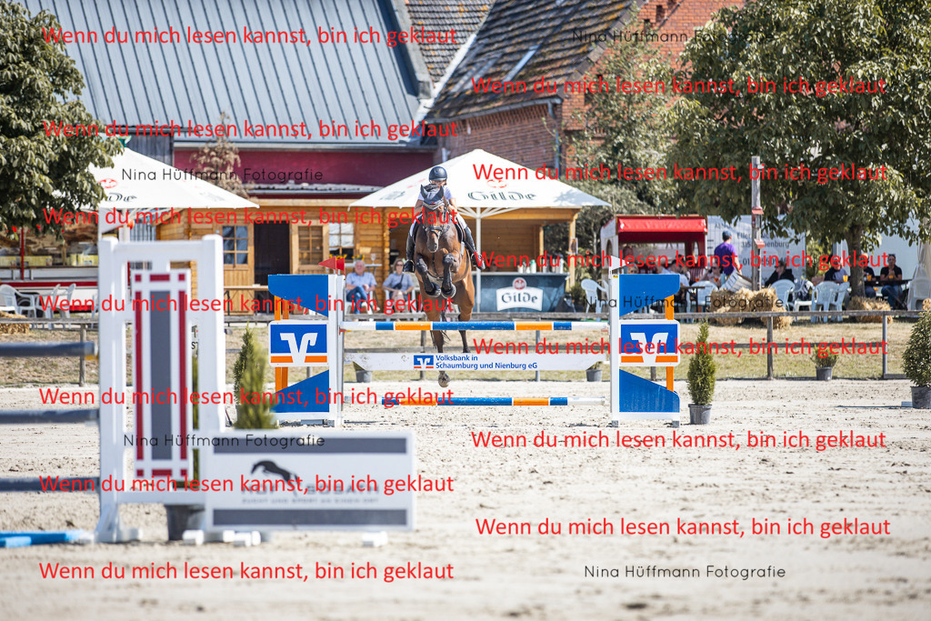 BK1A6764 | Turnierbilder Turnierfotos Nina Hüffmann Turnierfotografie Pferdefotografie Tierzeichnung Haustierzeichnung Pferdezeichnung Hundezeichnung Videograf  - Realisiert mit Pictrs.com