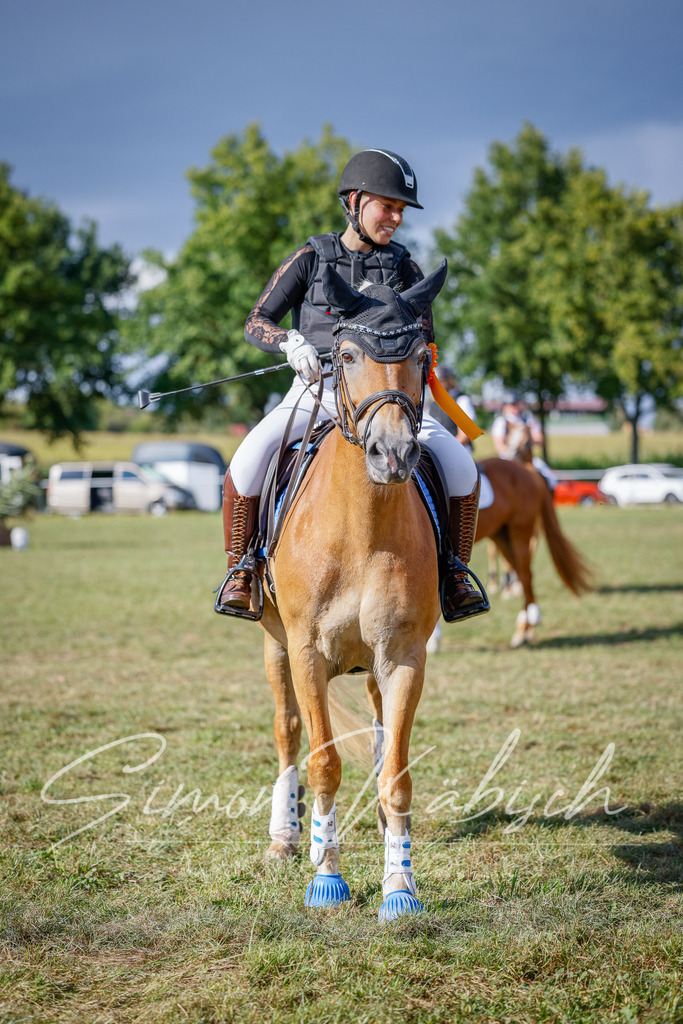 20250905-_3LI1258 | Tierfotografie Pferde, Hunde, Katzen, Haustiere.
Turnierfotografie Reitturniere, Reiten, Springreiten, Dressur in Hanau, dem Main-Kinzig-Kreis und dem Rhein-Main- Gebiet um Frankfurt