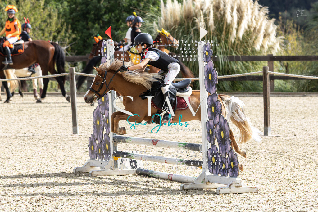 IMG_2126 | s-jay-photography - Realisiert mit Pictrs.com