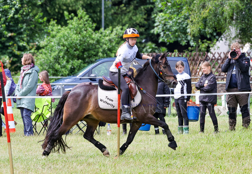 1B3A2170 | Reitsport Reiten