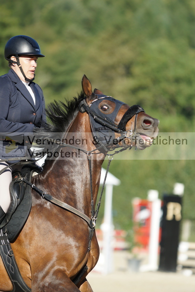 DSC08206 | equestrian-live-com