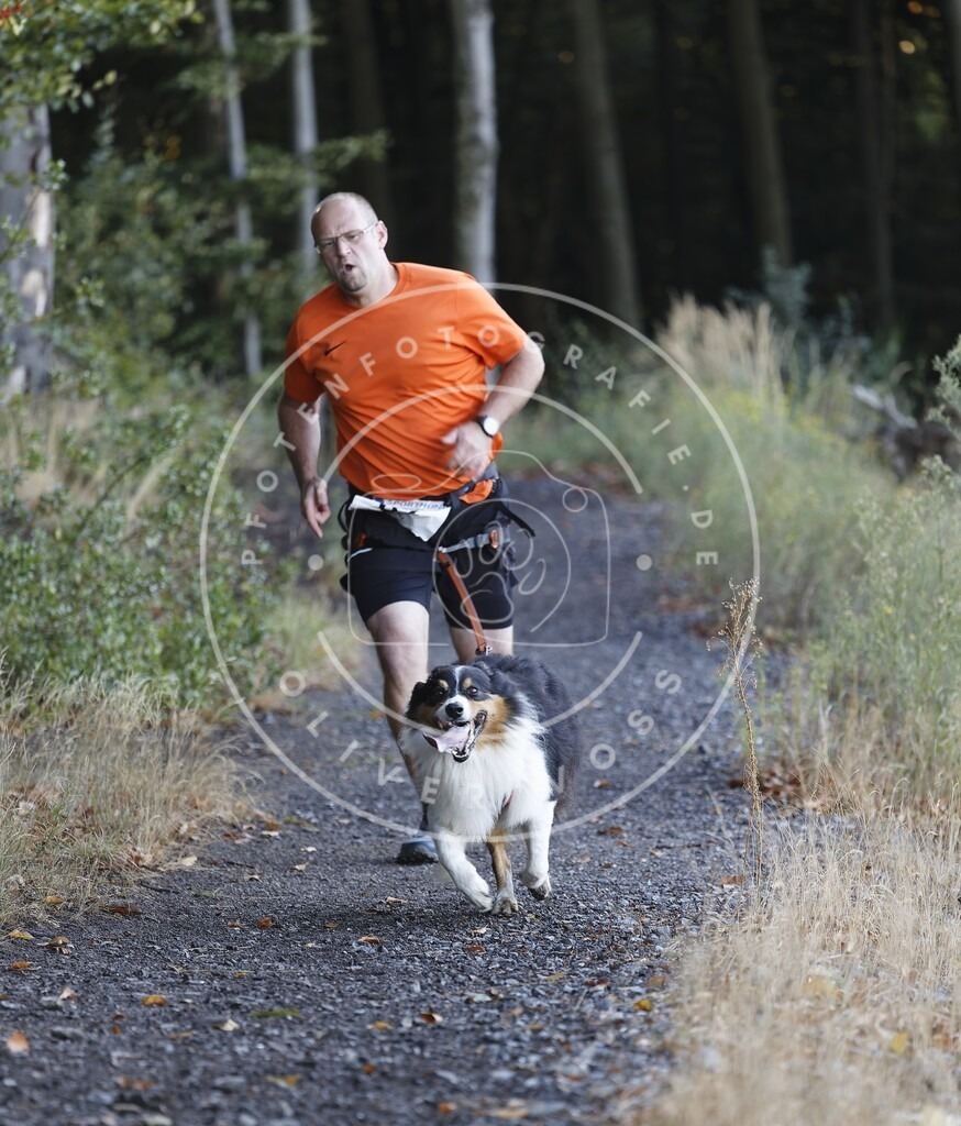 0L8A1921 | Hundefotografie, Tierfotograf, Pfotenfotografie, Fotoshooting Hund, Hunde Portrait, Hundesport, Hundeportraits, Heideshooting, Hunde, Sportfotograf, Hundefotograf, Turnierhundsport, THS,  - Realisiert mit Pictrs.com