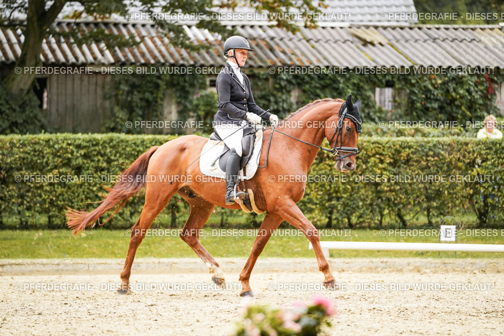 DSC08371 | Pferdegrafie